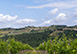 Casale Vigneti Italy Vacation Villa - Panzano in Chianti , Tuscany 