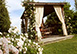 Italy Vacation Villa - Tuscany