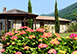 Italy Vacation Villa - Tuscany