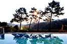 Castello di Lucca Lucca Italy Farmhouse Estate
