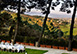 Castello di Lucca Italy Vacation Villa - Tuscany