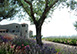 Italy Vacation Villa - Umbria, Perugia