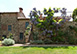 Collina Degli Ulivi Italy Vacation Villa - Arezzo, Tuscany