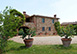 Collina Degli Ulivi Italy Vacation Villa - Arezzo, Tuscany