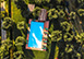 Il Casale del Colle, Pistoia, Italy Vacation Rental