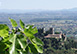 Il Casale del Colle, Pistoia, Italy Vacation Rental