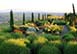 Il Podere Luxury Rental Villa