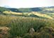 Il Podere Luxury Rental Villa