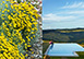Il Podere Luxury Rental Villa