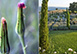 Il Podere Luxury Rental Villa