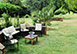 La Limonaia Italy Vacation Villa - Tuscany