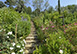 La Verdeggiante Italy Vacation Villa - Cantagrillo, Tuscany