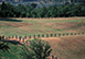 Italy Vacation Villa -  San Giustino Valdarno, Tuscany