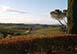  Montepulciano, Siena, Tuscany Region Italy