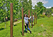 Parco Fiorito Cortona