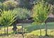 Parco Fiorito Cortona