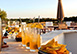 Relais of Stars Puglia, Italy Vacation Villa - Puglia