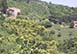 Italy Vacation Villa - Lisciano Niccone