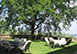 Sorrettole Italy Vacation Villa - Impruneta, Tuscany 
