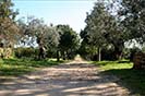 Casa Berlingeri Sicily Holiday Rental, Mazara del Vallo