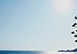 Torre di Talamonaccio Italy Vacation Villa - St Tropez