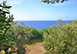 Tramonto Rosso Italy Vacation Villa -  Maratea