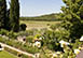Italy Vacation Villa - Tuscan countryside