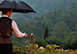 Val d’Elsa Piazza, Italy Vacation Rental