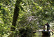 Venice Italy Holiday Rentals