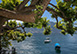 Villa Aphrodite Italy Vacation Villa - Lake Como