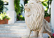Villa Aurora Italy Vacation Villa - Capri