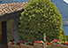 Italy Vacation Villa - Lake Como