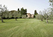 Villa Castellare Italy Vacation Villa - Chianti, Florence, Tuscany