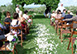 Villa Castellare Italy Vacation Villa - Chianti, Florence, Tuscany