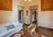 Villa Confalonieri Grande Italy Vacation Villa - Lombardy, Lake Como