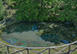 Villa Cretole Italy Vacation Villa - Tuscany