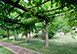 Villa Degli Affreschi Italy Vacation Villa - Florence, Tuscany