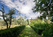 Villa Degli Affreschi Italy Vacation Villa - Florence, Tuscany