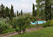 Villa Francesca Italy Vacation Villa - Cortona, nr Arezzo, Tuscany