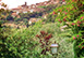 Villa Francesca Italy Vacation Villa - Cortona, nr Arezzo, Tuscany