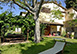 Villa Freddana Italy Vacation Villa - Lucca, Tuscany