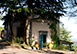 Villa Freddana Italy Vacation Villa - Lucca, Tuscany