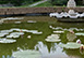 Villa Gaudia Italy Vacation Villa - Florence, Tuscany