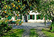 Villa La Chiusa Italy Vacation Villa - Tuscany