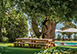 Villa Magnolia Italy Vacation Villa - Lake Maggiore