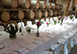 Italy Vacation Villa - Tuscany