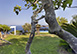 Villa Miragalli Italy Vacation Villa - Sorrento