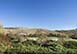 Villa Montalcino Italy Villa Rental
