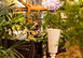 Villa Mussio Tuscany, Italy Vacation Villa - Rovinato