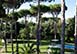 Villa Nocetta Italy Vacation Villa - Rome